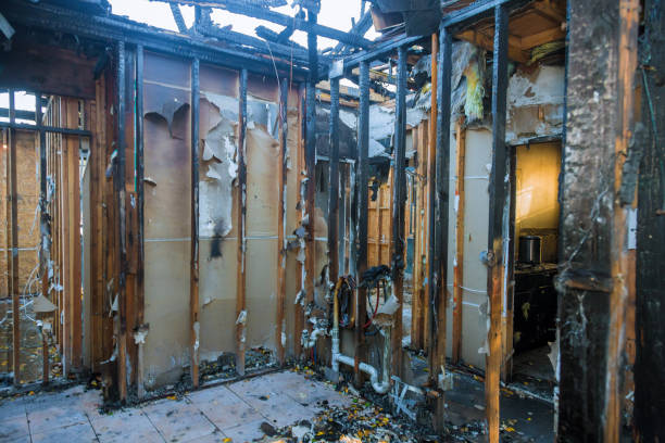 Professional Fire Damage Assessment technician working in Westmorland, CA